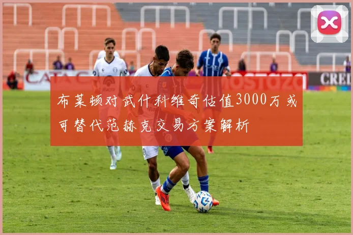 布莱顿对武什科维奇估值3000万或可替代范赫克交易方案解析