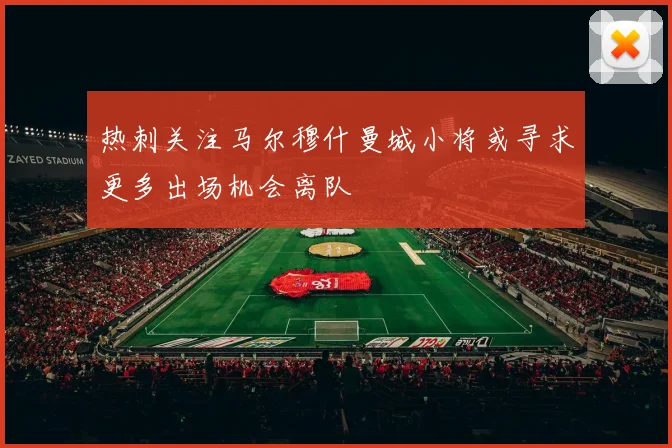 热刺关注马尔穆什曼城小将或寻求更多出场机会离队